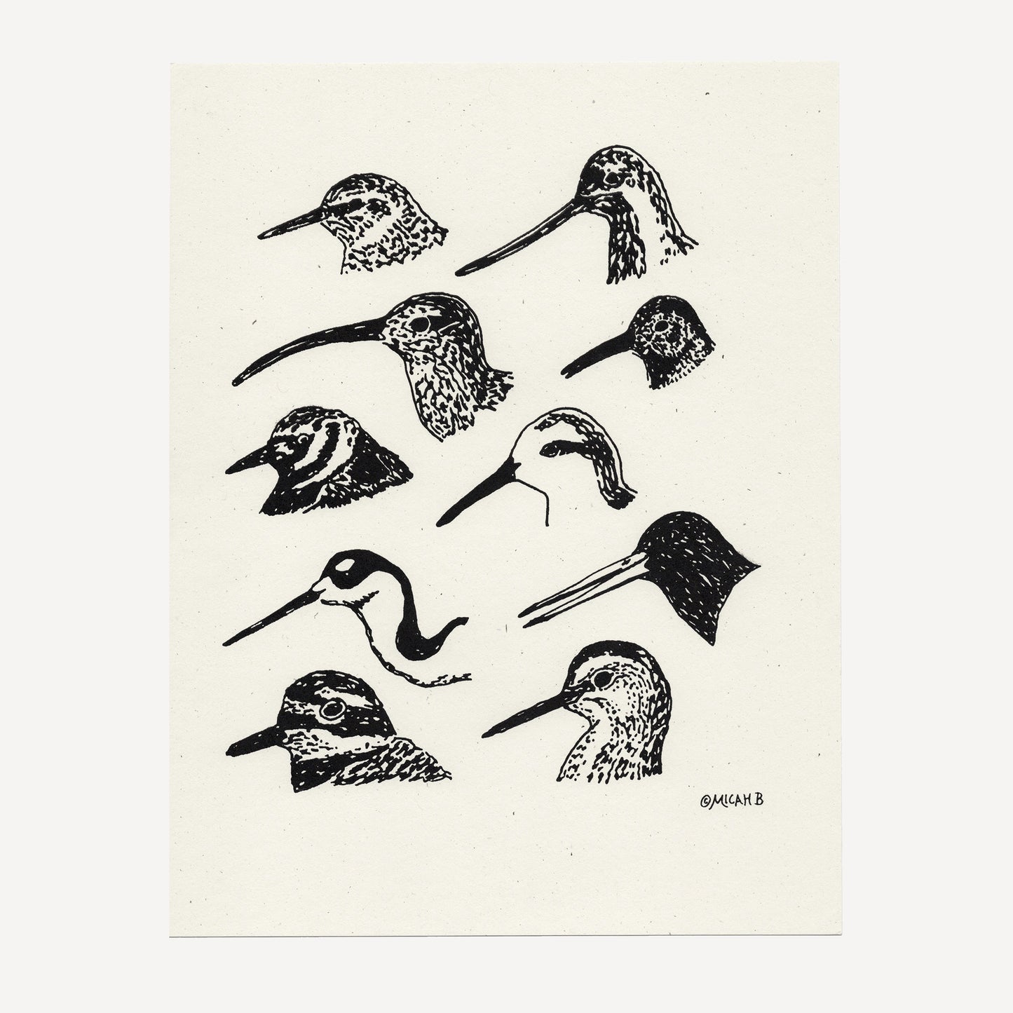 Shorebirds Screen Print